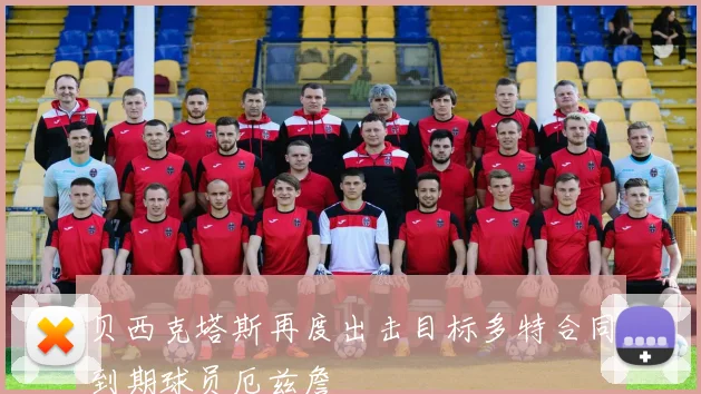 贝西克塔斯再度出击目标多特合同到期球员厄兹詹