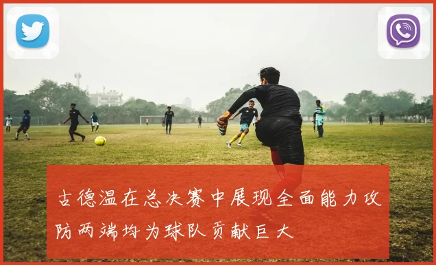 古德温在总决赛中展现全面能力攻防两端均为球队贡献巨大